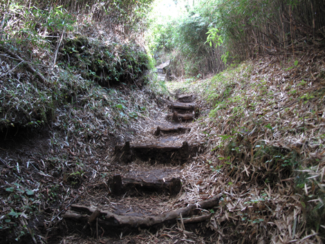 20181025hike (34)